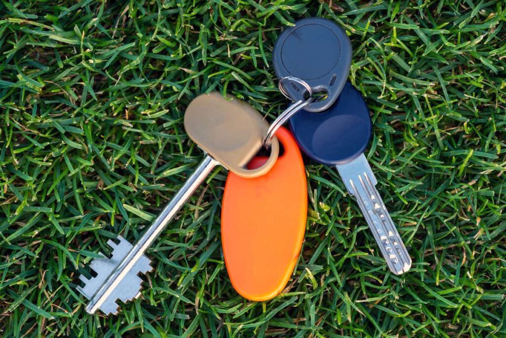 Protect Your Peace of Mind-Leak Detection Como