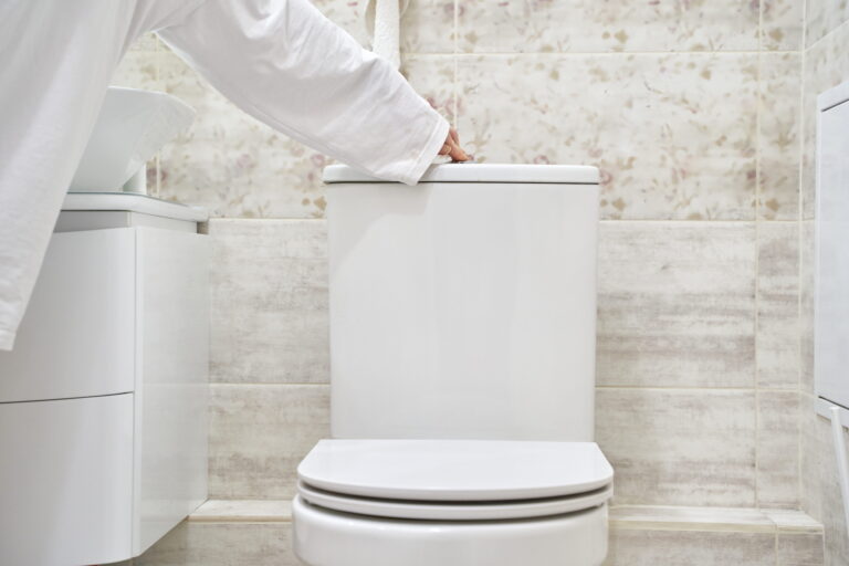 Flushing modern toilet clean bathroom installation-Toilet Replacement Ashfield