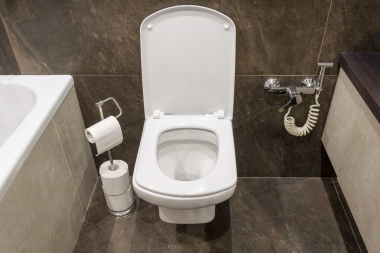 Toilet replacement  modern wall-mounted toilet-Toilet Replacement Ashfield