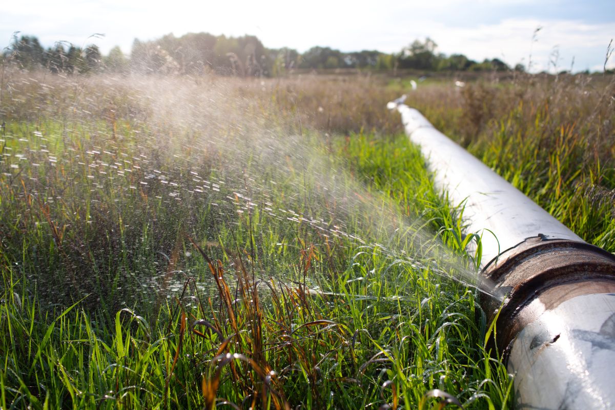 Pipes Burst Overnight in Perth